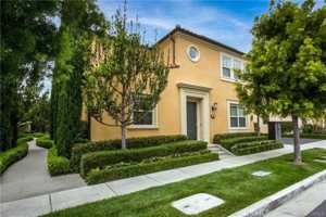 featured image of 101 Painted Trellis