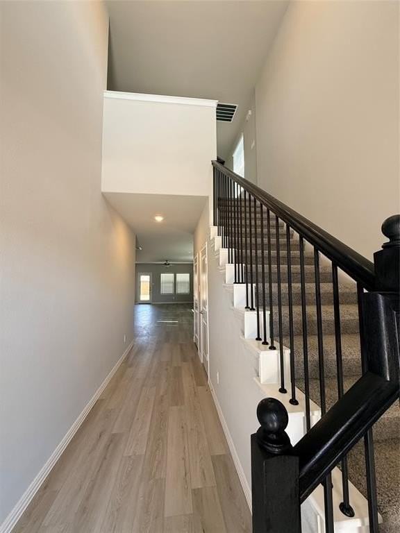 3907 Marble Falls Dr - Photo 2 of 22