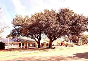 3114 Shell Ave - Photo 1 of 1