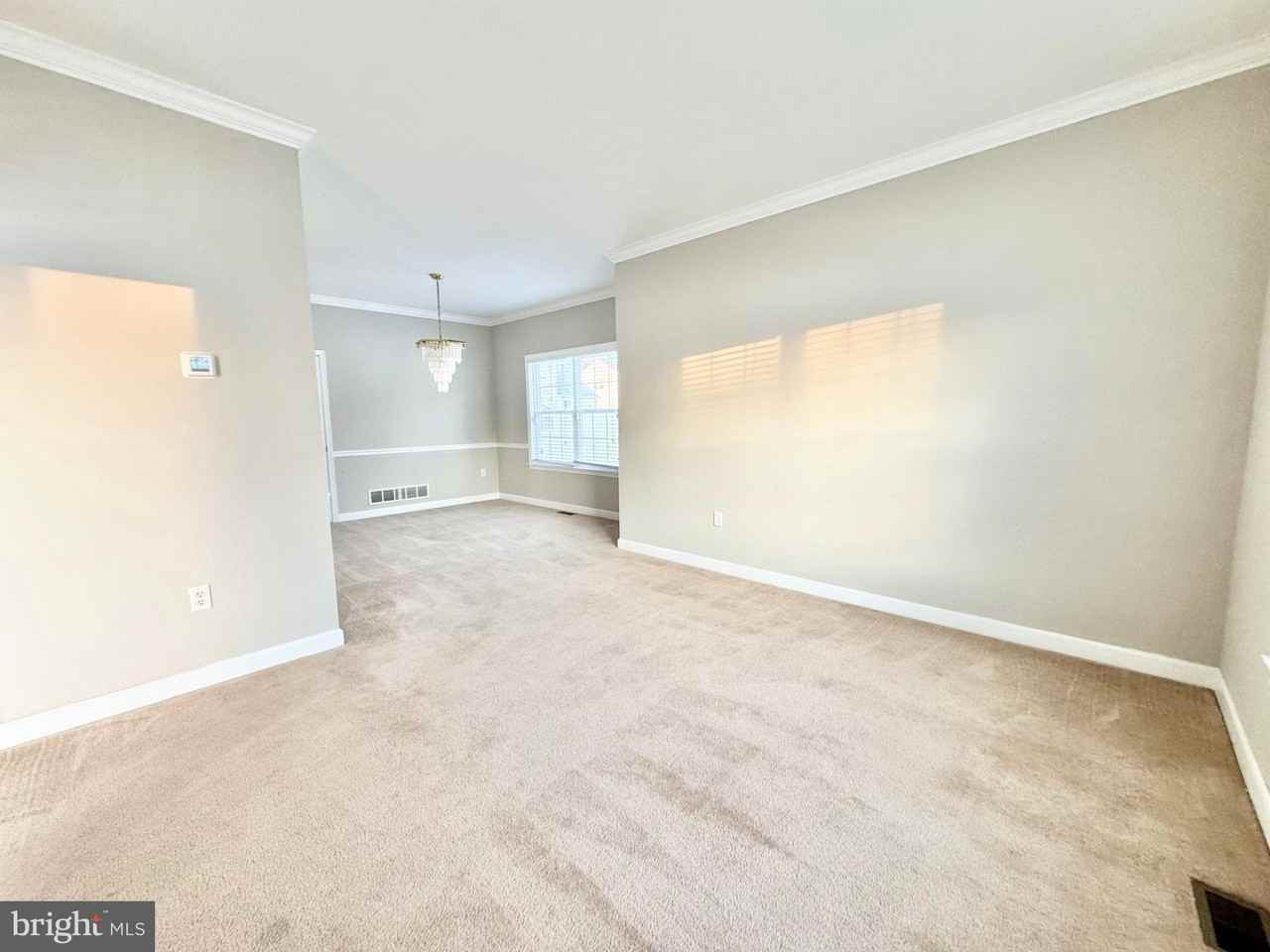 15 Delhi Ct - Photo 5 of 31