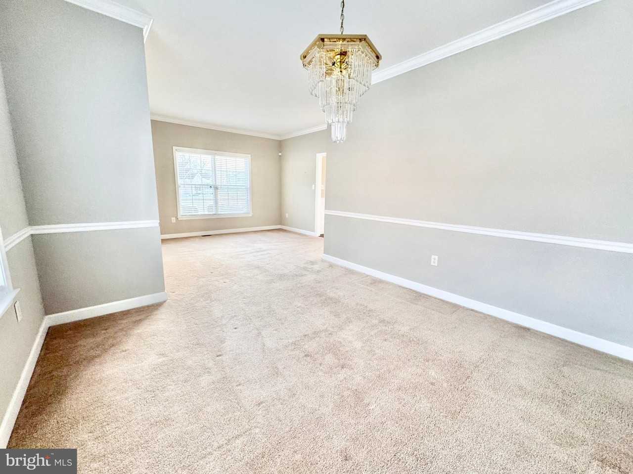 15 Delhi Ct - Photo 7 of 31