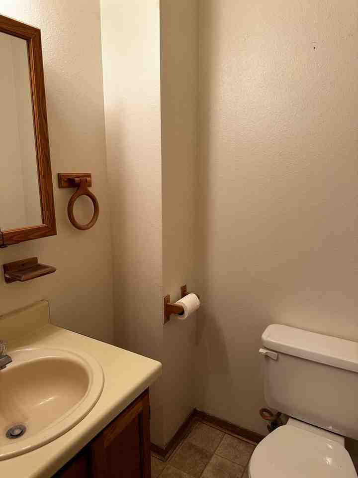 1303 Soaring Eagle Dr - Photo 4 of 15