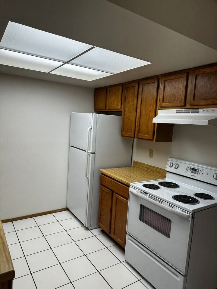 1303 Soaring Eagle Dr - Photo 7 of 15