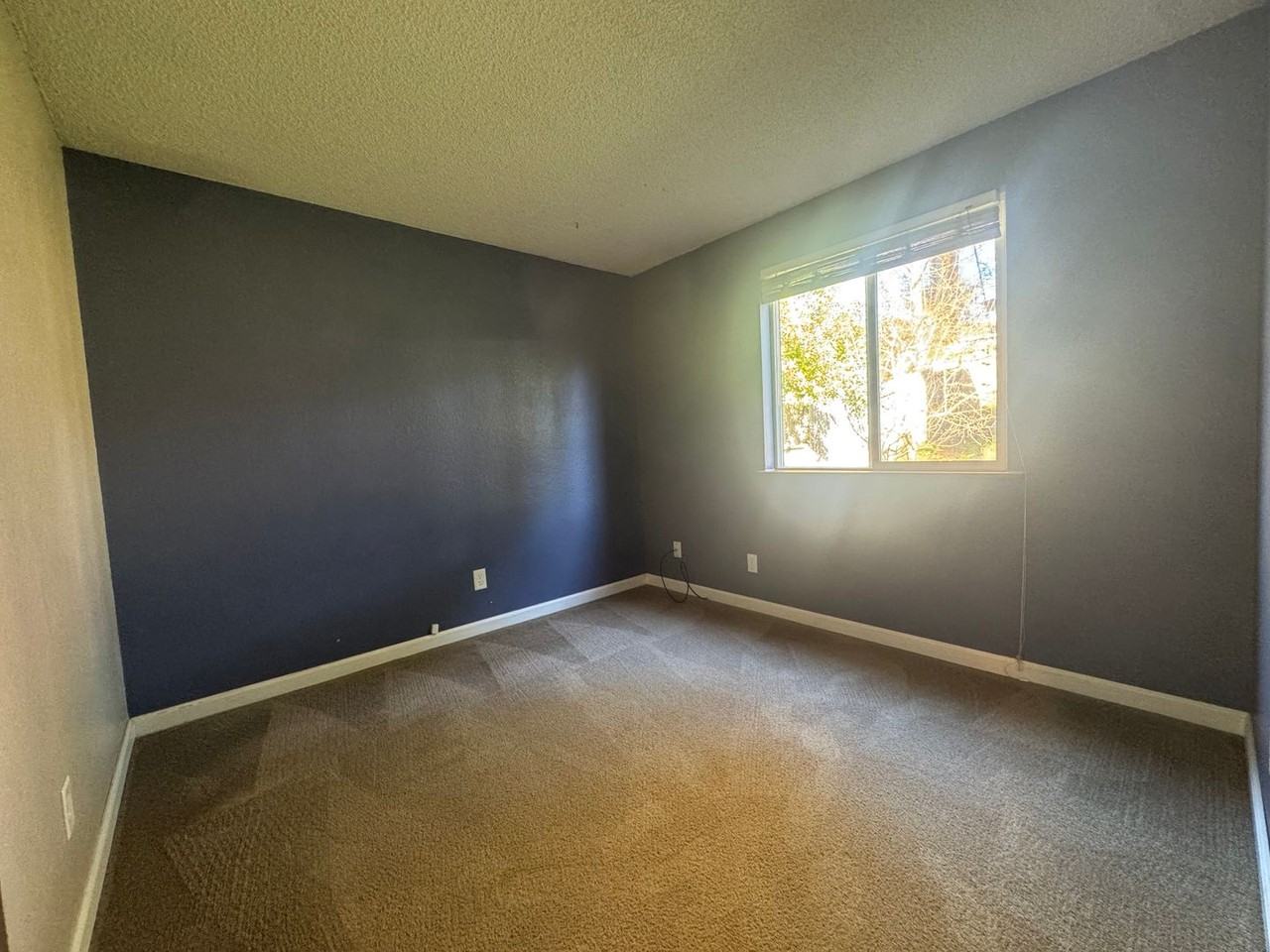 1965 Cypress Ct - Photo 7 of 21