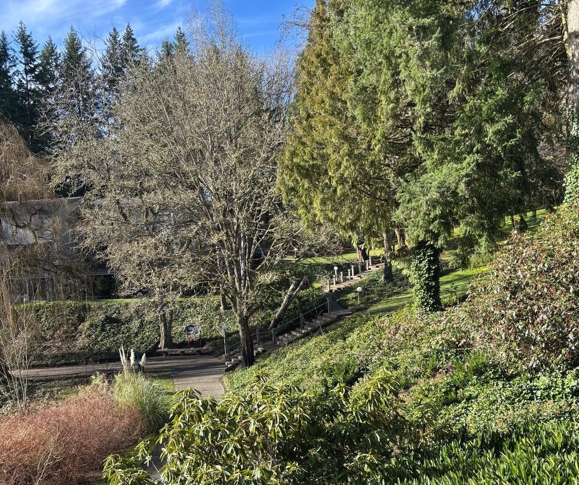 13787 Ne 65th St #567 - Photo 6 of 22