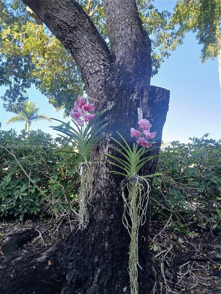 3618 San Simeon Cir #0 - Photo 6 of 25