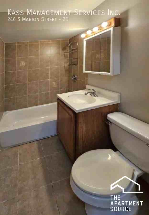 246 S Marion St #2D - Photo 4 of 4