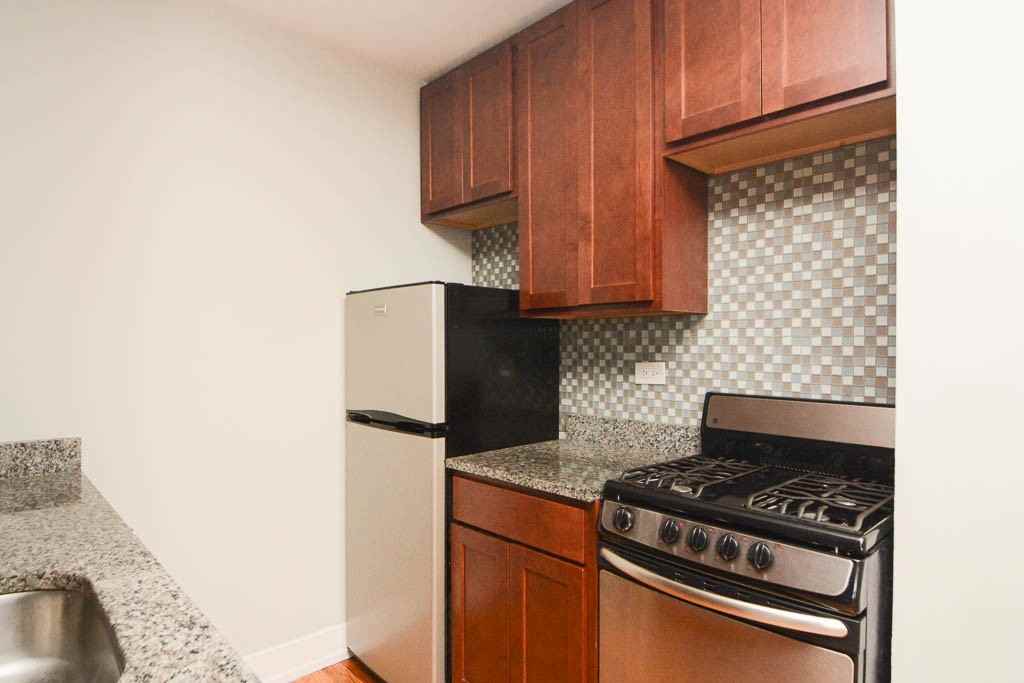 550 W Arlington Pl #802 - Photo 4 of 21