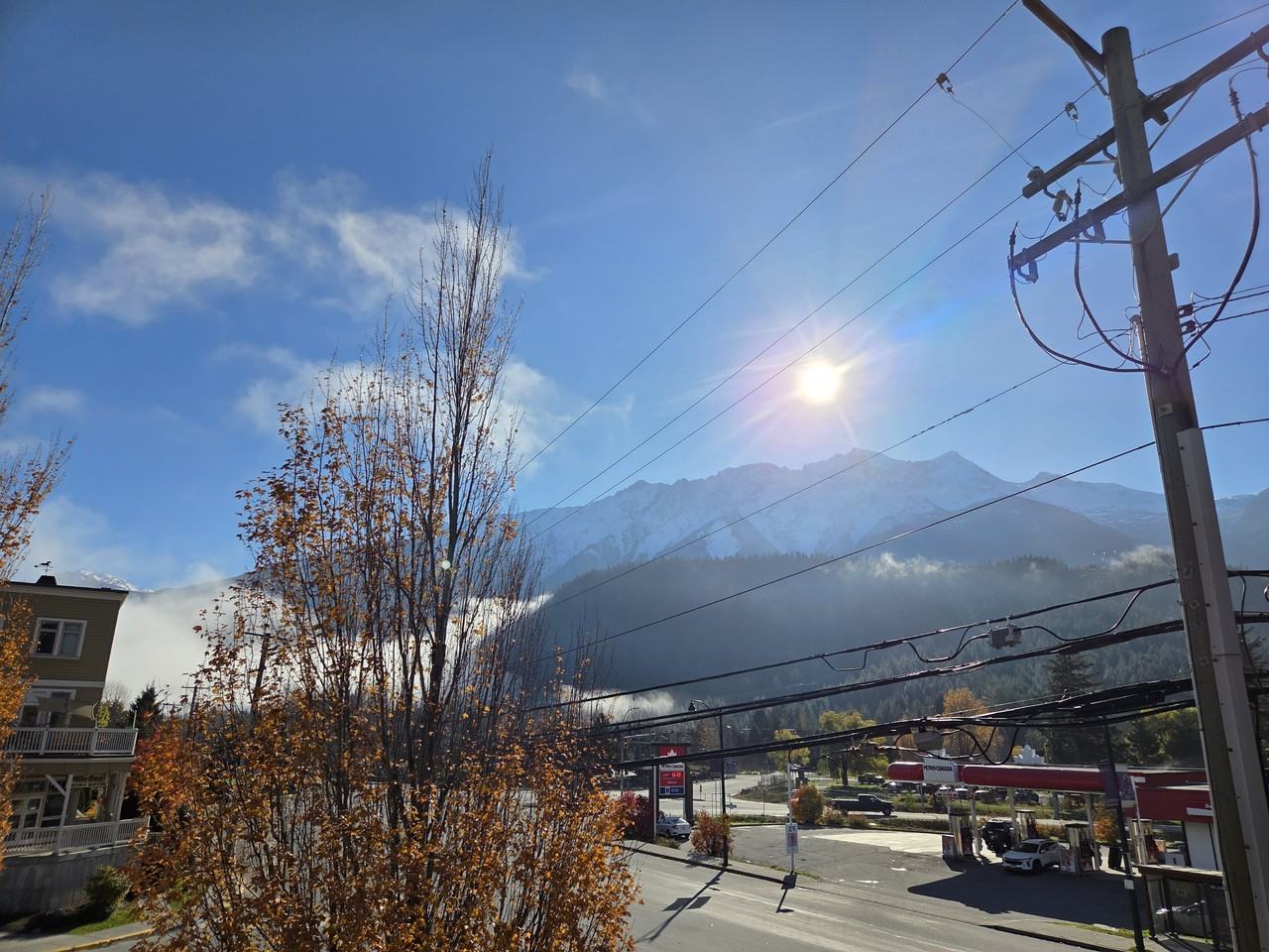 7300 Arbutus St - Photo 3 of 6