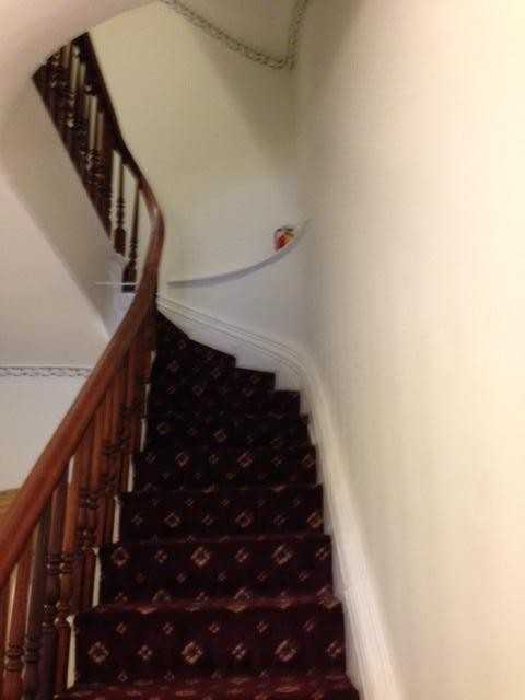 445 Shawmut Ave #7 - Photo 5 of 9