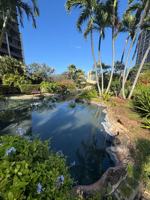 featured image of 1255 Nuuanu Ave #E909