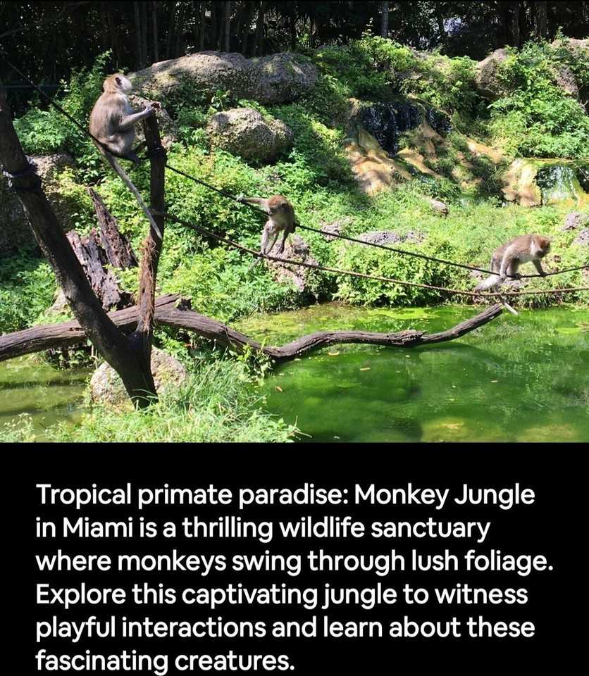 19661 Sw 340th St #1460112P - Photo 3 of 34