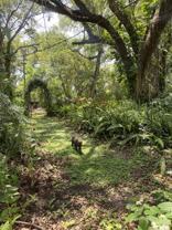 3255 Clemwood Drive - Photo 1 of 1