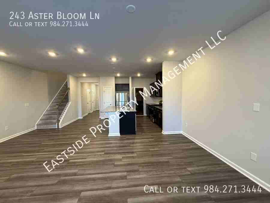 243 Aster Bloom Ln - Photo 3 of 20
