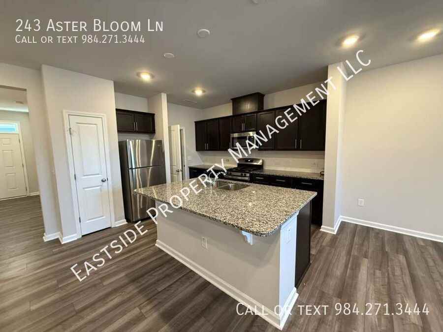 243 Aster Bloom Ln - Photo 5 of 20