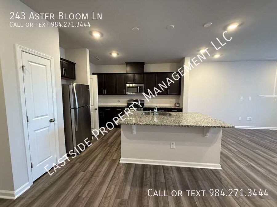 243 Aster Bloom Ln - Photo 6 of 20