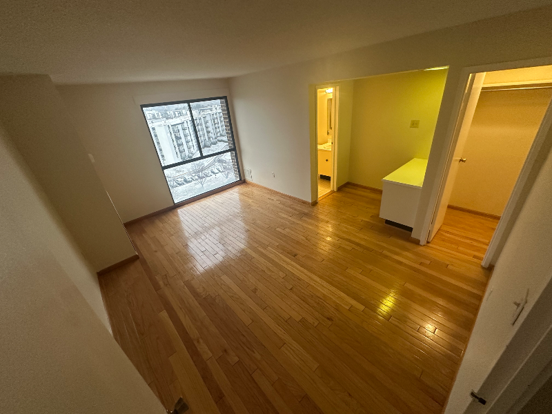 250 S Reynolds St #1104 - Photo 4 of 14