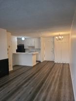 160 S El Molino Ave #202 - Photo 1 of 1