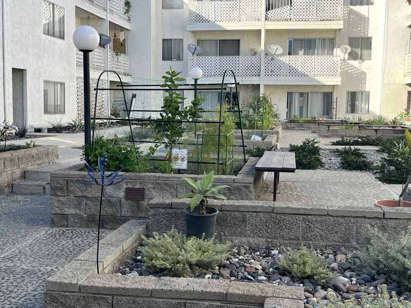 3565 Linden Ave #212 - Photo 4 of 15