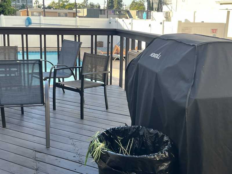 3565 Linden Ave #212 - Photo 6 of 15