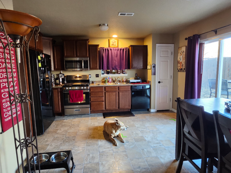 2349 Spring Blossom Dr - Photo 5 of 12