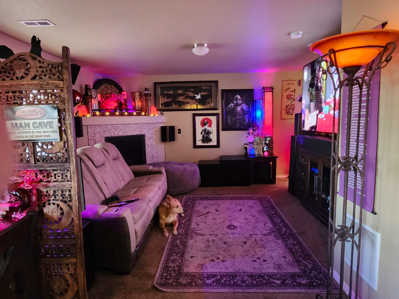 2349 Spring Blossom Dr - Photo 7 of 12