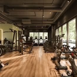 ALEXANDRA PROJECT / PROJET ALEXANDRA - Photo 6 of 6