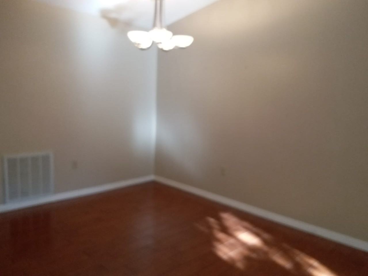 1141 Deer Hollow Place - Photo 5 of 20