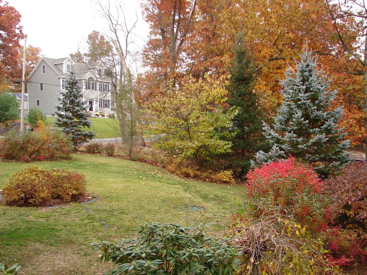 43 Juniper St #1 - Photo 2 of 6