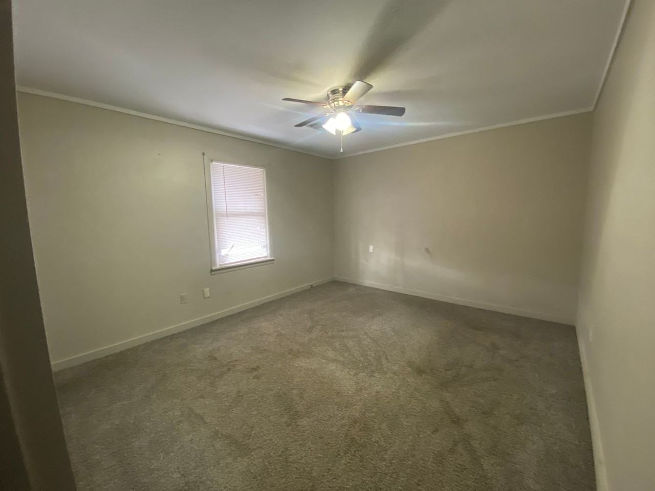 1340 Western St - Photo 7 of 10