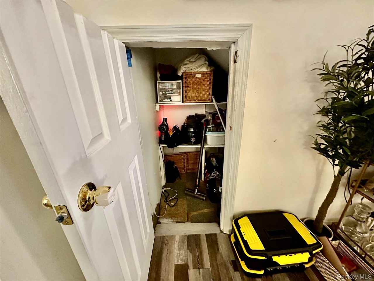 137 Meserole St Apt 1 #1 - Photo 3 of 9