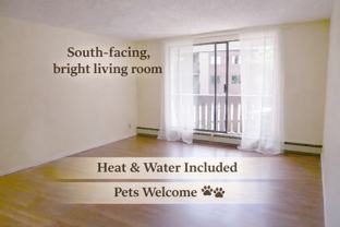 8640 Citation Drive #2XX - Photo 1 of 1