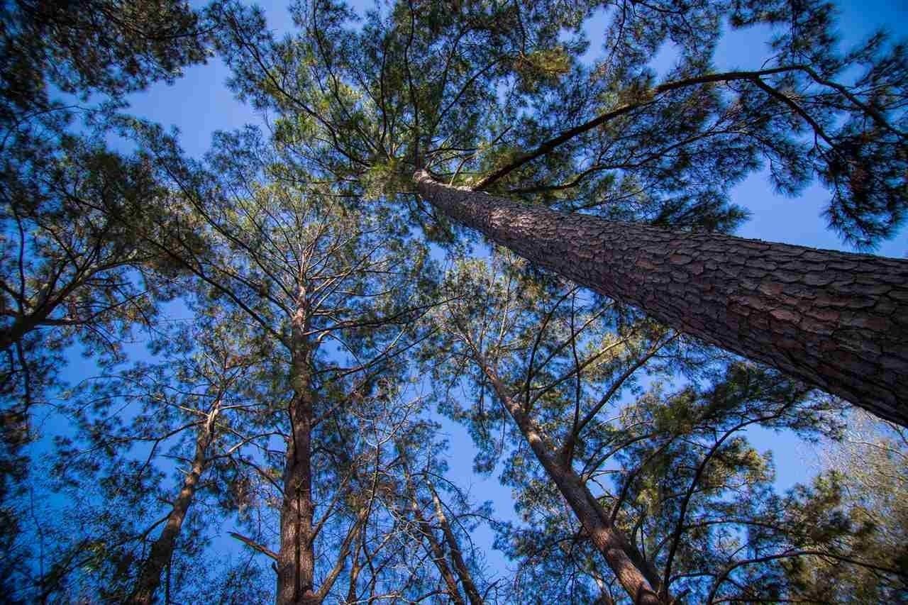 329 Mabry E Mabry Street unit: E #E - Photo 2 of 14