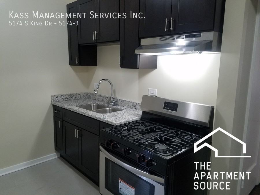 5174 S King Dr #3 - Photo 2 of 8