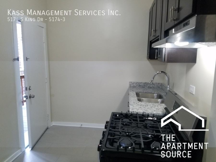 5174 S King Dr #3 - Photo 3 of 8