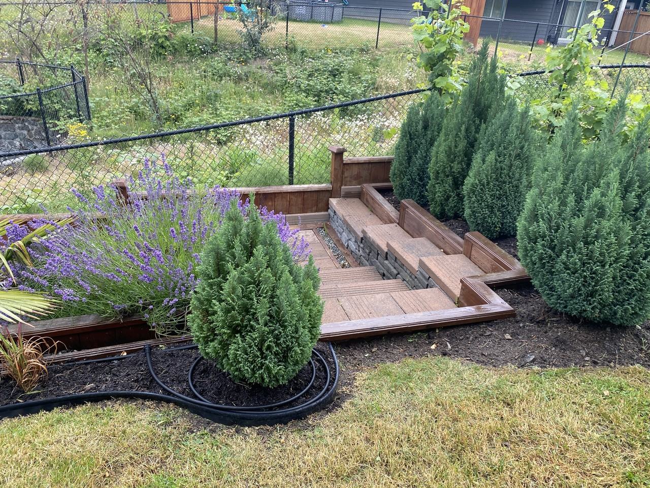 2389 Lund Rd - Photo 4 of 24