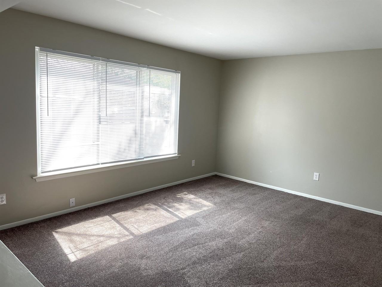 Brenton Woods - Photo 4 of 11