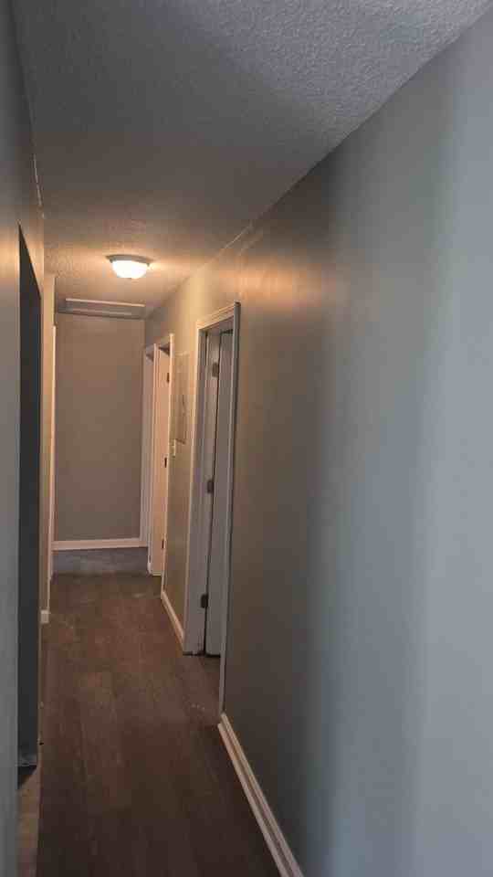 317 W Thomas Ct - Photo 7 of 17