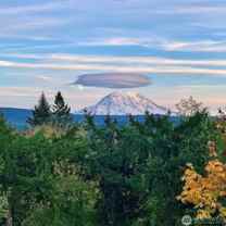 16619 249th St E #NA - Photo 1 of 1