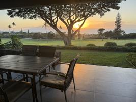 featured image of 50 Puu Anoano St #3105