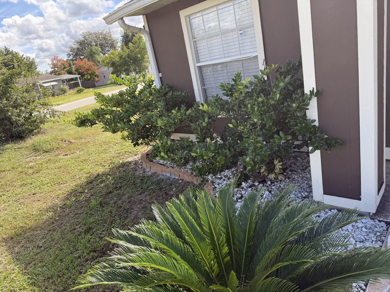 3025 Greynolds St #NA - Photo 3 of 17