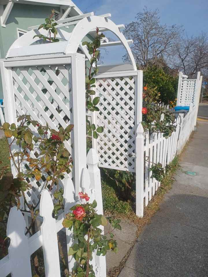 944 Virginia St #944 - Photo 6 of 6