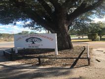 Live Oak - Photo 1 of 1