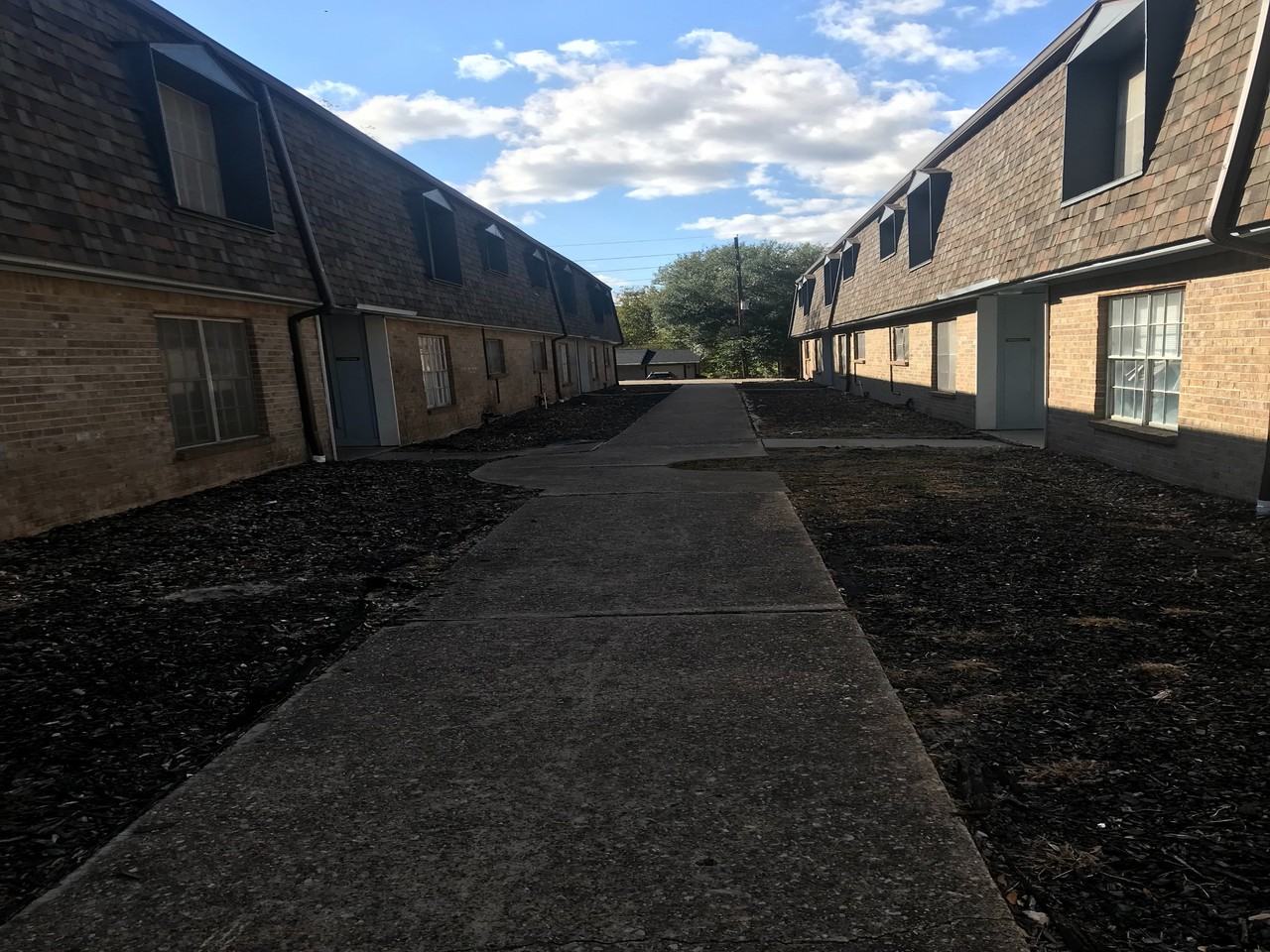 Live Oak - Photo 4 of 12