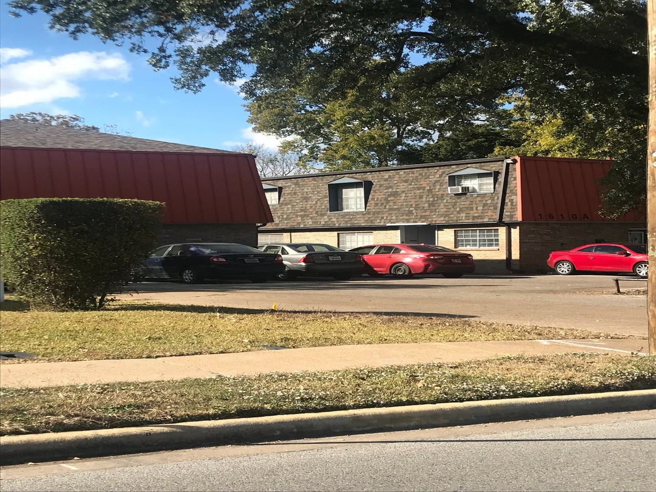 Live Oak - Photo 5 of 12