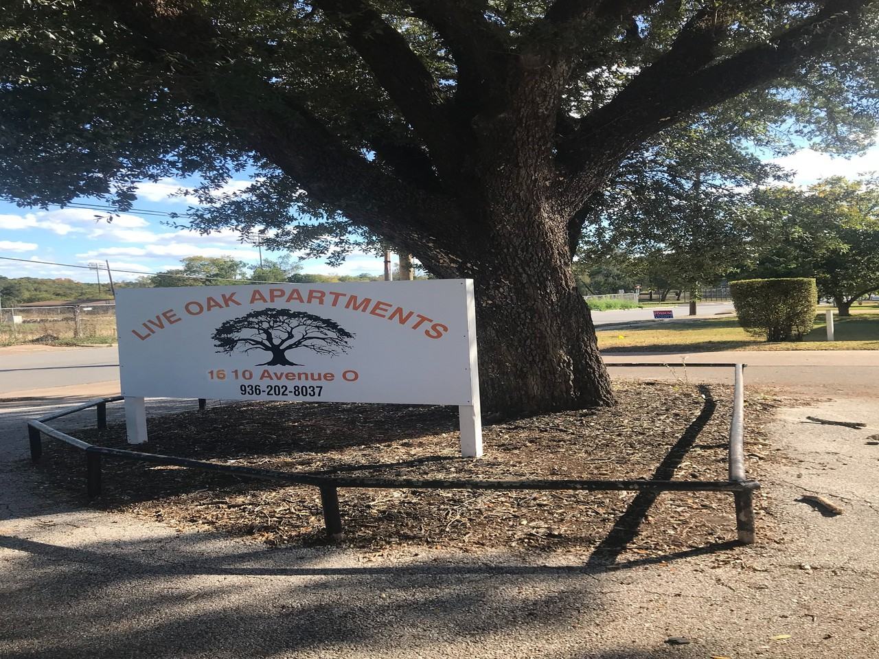 Live Oak - Photo 6 of 12