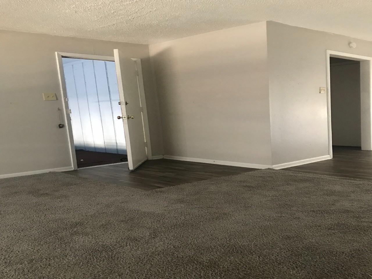 Live Oak - Photo 7 of 12