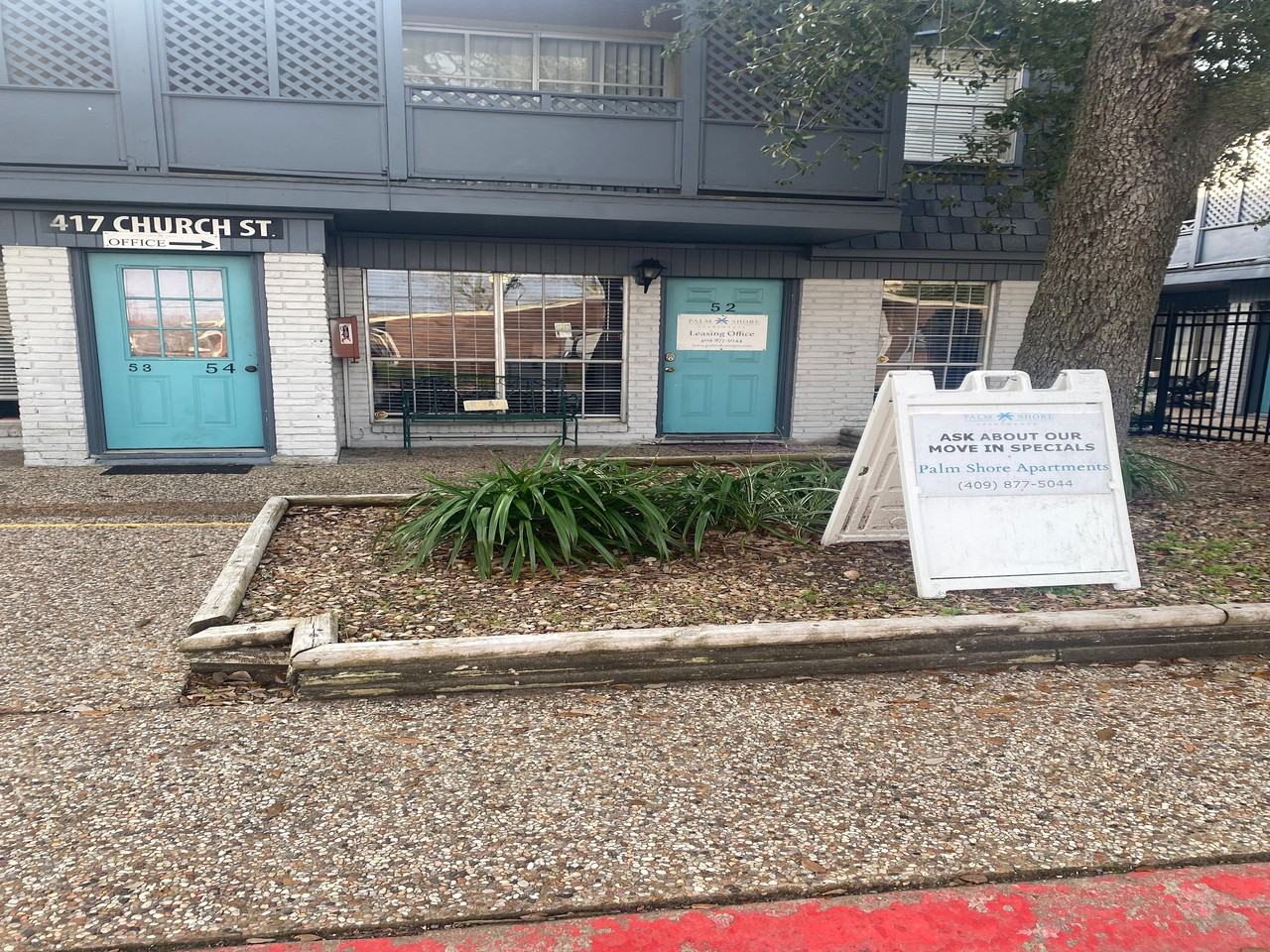 Palm Shore - Photo 7 of 39