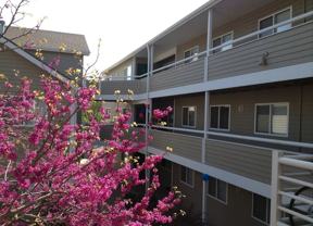 Regents Court Apartments - Photo 1 of 1