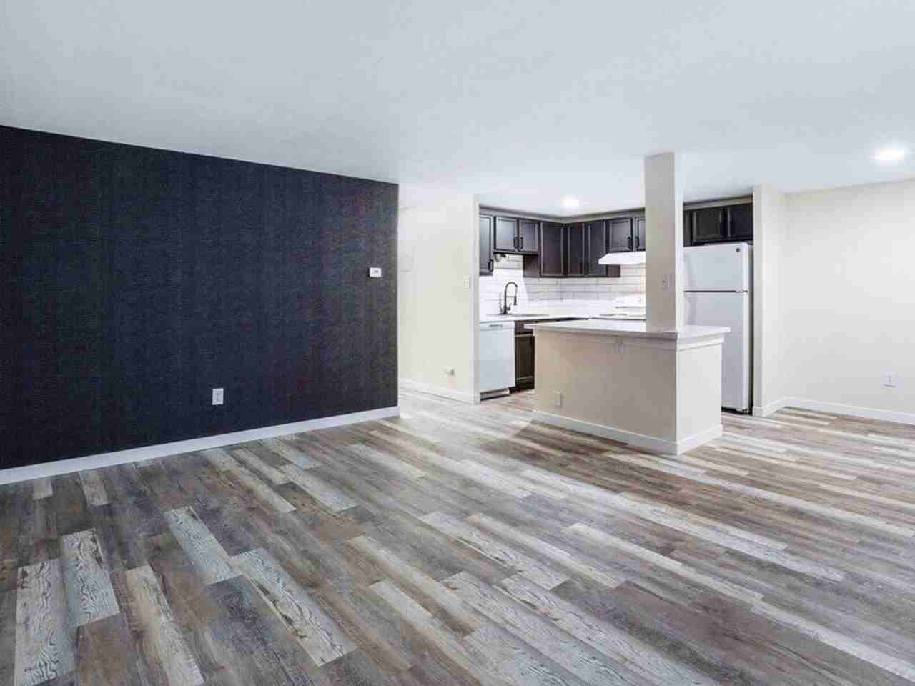 The Iris - Photo 5 of 31